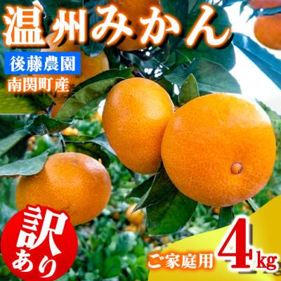 ふるさと納税 南関町 ご家庭用 後藤農園 温州みかん 4kg 訳あり 熊本県 南関町