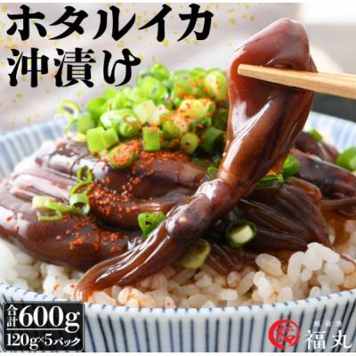 ふるさと納税 越前町 [のし付]ホタルイカ沖漬け 120g×5パック