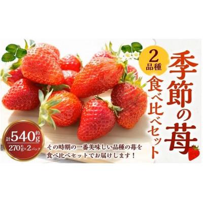 ふるさと納税 うきは市 [2026年2月以降発送]よかもんいちご 2品種食べ比べセット U089-2SB-CSE2-02
