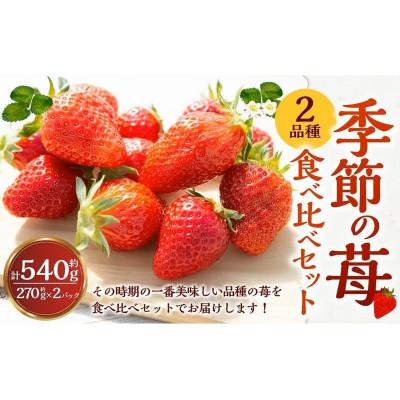 ふるさと納税 うきは市 [2026年3月以降発送]よかもんいちご 2品種食べ比べセット U089-2SB-CSE2-03