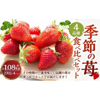 ふるさと納税 うきは市 [2026年2月以降発送]よかもんいちご 4品種食べ比べセット U089-2SB-CSE4-02