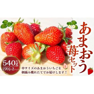 ふるさと納税 うきは市 [2026年2月以降発送]よかもんいちご あまおう苺セット2パック U089-2SB-ASE2-02