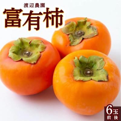 ふるさと納税 うきは市 [2026年産先行受付]富有柿 6玉前後 U102