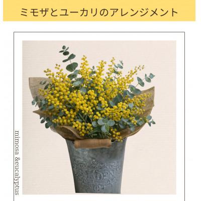 ふるさと納税 藤井寺市 ミモザのアレンジメント 1点