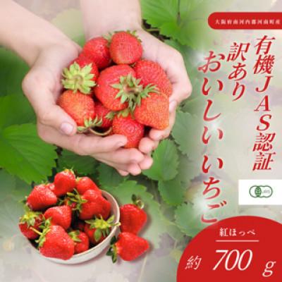 ふるさと納税 河南町 大阪府南河内郡河南町産 訳あり おいしいいちご JAS認証いちご 約700g 36粒