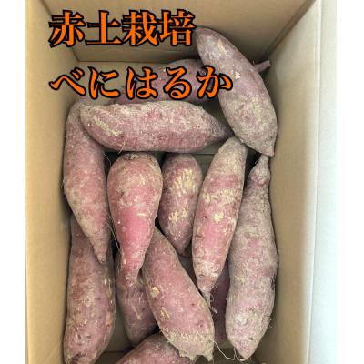 ふるさと納税 南砺市 富山県南砺市立野原産赤土べにはるか計5kg