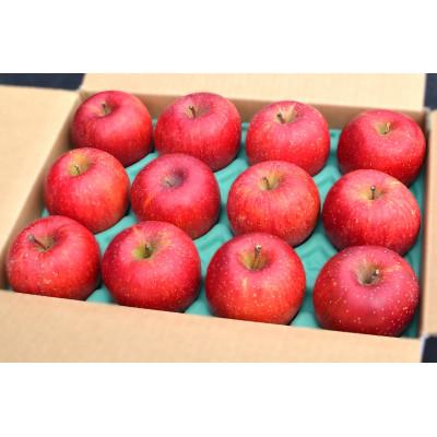 ふるさと納税 一関市 樹上完熟ふじ 約3kg