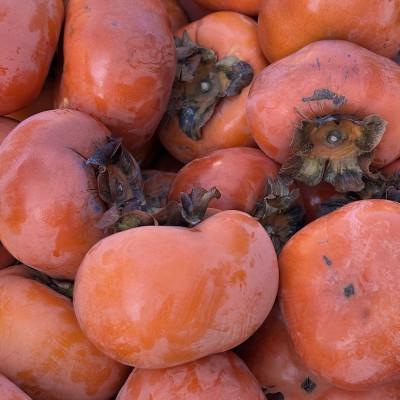 ふるさと納税 多気町 [令和8年先行予約]優しい農園 フードロス次郎柿 5kg 20数個〜30数個目安 大きな傷等 訳あり