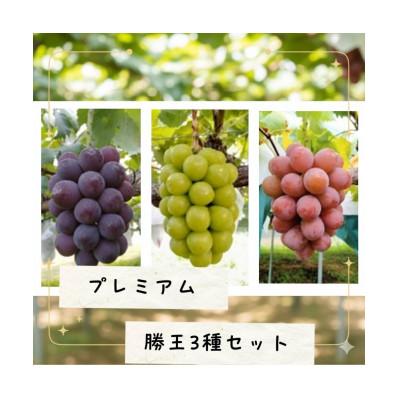 ふるさと納税 勝央町 プレミアム勝王3種セット 限定30箱