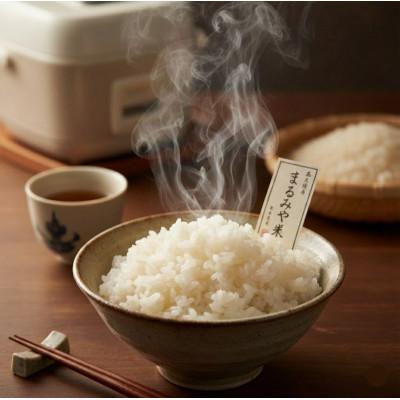 ふるさと納税 武豊町 令和7年産 コシヒカリ 玄米30kg(1袋)