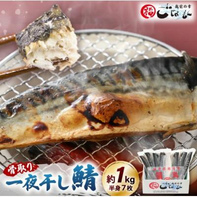 ふるさと納税 越前町 [のし付]鯖の一夜干し 約1kg(半身7切)網元漁師「福丸」厳選干物!