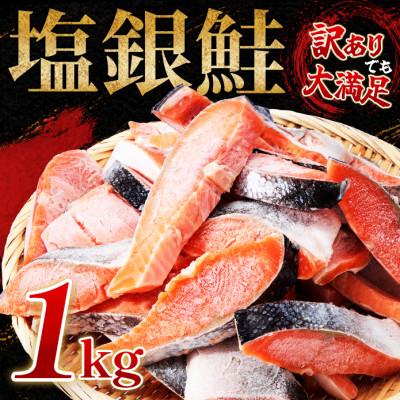 ふるさと納税 館山市 [訳あり]約1kg 塩銀鮭 切身 トロカマ入 詰め合せセット