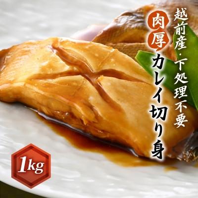 ふるさと納税 越前町 [のし付]肉厚!越前産カレイ切り身 1kg入