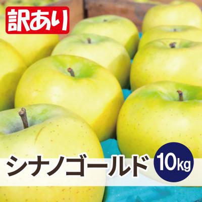 ふるさと納税 大鰐町 訳ありシナノゴールド10kg