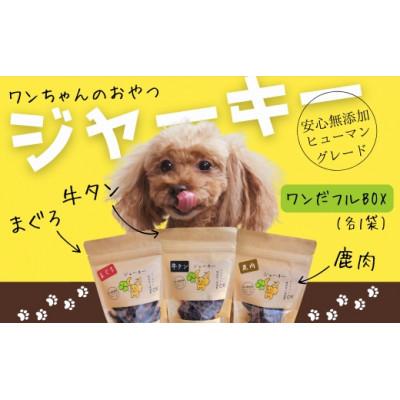 ふるさと納税 河内長野市 [ジャーキー三種セット]ワンちゃんのおやつ(ギフト) ワンだフルBOX (小型犬/中型犬/大型犬)