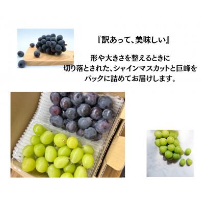 ふるさと納税 山梨市 【2026年発送】訳あり カット シャインマスカット カット 巨峰 計1kg |  | 01