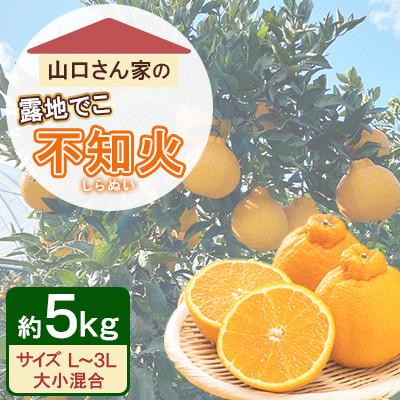 ふるさと納税 宇城市 不知火 山口さん家の露地でこ 約5kg L〜3L混合[先行予約!2026年2月上旬〜発送](宇城市)