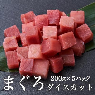 ふるさと納税 船橋市 熟成天然マグロダイスカット 200g×5パック