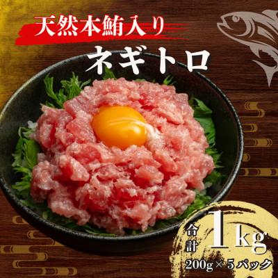 ふるさと納税 船橋市 天然本鮪入 まぐろのたたき 200g×5袋