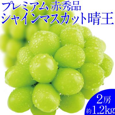 ふるさと納税 倉敷市 先行予約 赤秀 最高品質 プレミアム シャインマスカット 晴王 2房 1.2kg 岡山県産 ハレノ