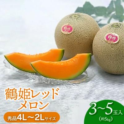 ふるさと納税 鶴岡市 [令和8年分先行予約]鶴姫レッドメロン(3〜5玉) 秀品4L〜2L K-843