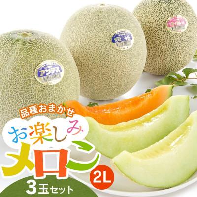 ふるさと納税 鶴岡市 [令和8年分先行予約]お楽しみメロン(2L) 3玉セット K-836