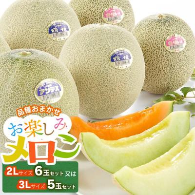 ふるさと納税 鶴岡市 [令和8年分先行予約]お楽しみメロン[3L・5玉]または[2L・6玉]セット K-860