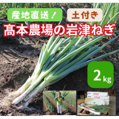 ふるさと納税 朝来市 高本さんちの土付き岩津ねぎ2kg◎鍋・天ぷら・焼いても美味い!