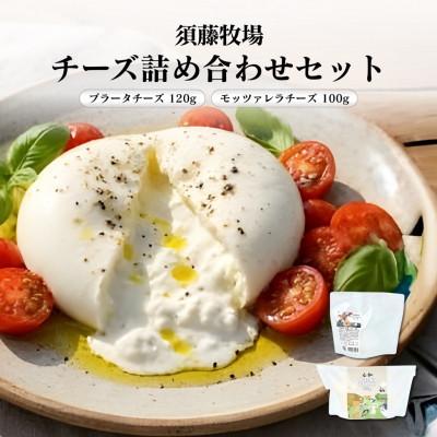 ふるさと納税 館山市 モッツァレラチーズ1個&amp;ブラータチーズ1個セット