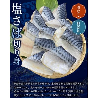ふるさと納税 古座川町 骨なし 無添加 塩さば 切身 60g × 12枚 (4枚入り3セット)