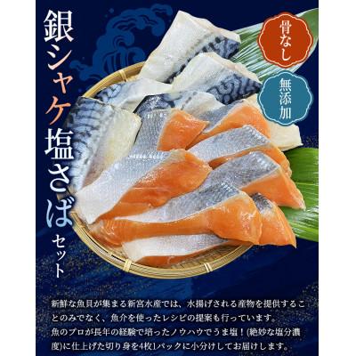 ふるさと納税 古座川町 骨なし 無添加 銀シャケ切身と塩さばのセット!合計16枚(シャケ50g×8枚、さば60g×8枚)
