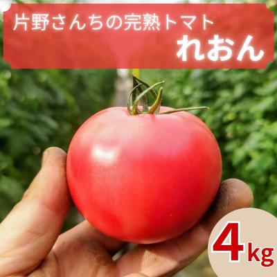 ふるさと納税 伊勢原市 [先行受付]トマト農家片野さんちの完熟トマト「れおん」4kg