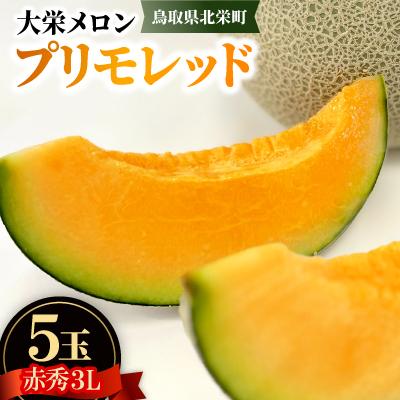 ふるさと納税 北栄町 [先行予約][JA]大栄メロン プリモレッド(赤肉)赤秀3L×5玉(9月末頃〜10月下旬頃順次発送)