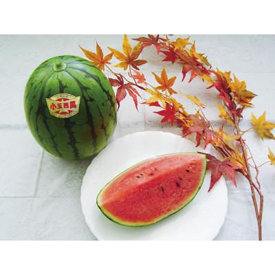 ふるさと納税 北栄町 [先行予約][JA]小玉西瓜 秀2L×4玉 2026年9月初旬頃から9月下旬頃に発送予定