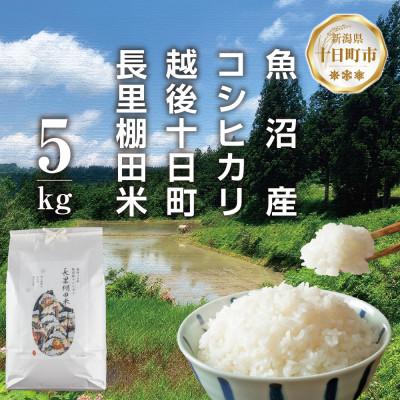 ふるさと納税 十日町市 魚沼産 コシヒカリ 長里 棚田米 5kg 新潟県十日町市