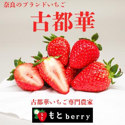 ふるさと納税 奈良市 奈良ブランドいちご「古都華」専門農家もとberryの古都華いちご