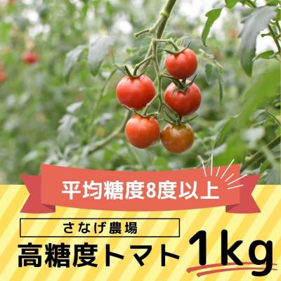 ふるさと納税 豊田市 高糖度トマト[瑞甘]1kg