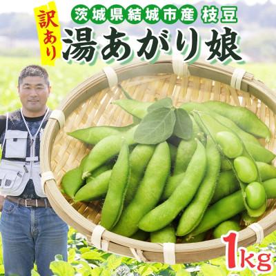 ふるさと納税 結城市 [2026年先行予約]枝豆 湯あがり娘 訳あり 約1kg 国産 甘みのある濃厚な味わい