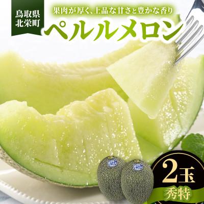 ふるさと納税 北栄町 [先行予約][JA]ペルルメロン 秀特×2玉 2026年6月初旬頃から7月初旬頃に順次発送