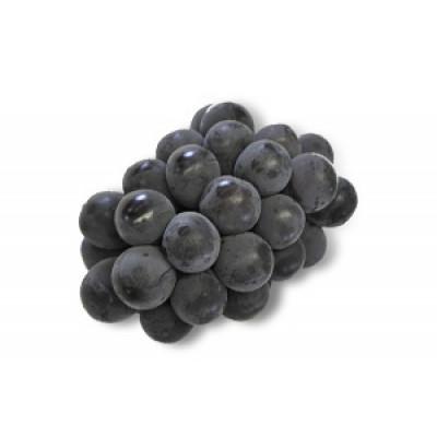 ふるさと納税 北栄町 [先行予約][JA]ピオーネ(種なし)赤秀2kg箱(3〜5房入)2026年8月初旬〜8月下旬順次発送