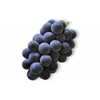 ふるさと納税 北栄町 [先行予約][JA]巨峰(種なし)赤秀2kg箱(3〜5房入)2026年8月初旬〜8月中旬に順次発送