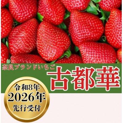 ふるさと納税 奈良市 [2026年1月〜順次発送]奈良ブランドいちご[古都華]藤井農園 270g×2パック 12-124