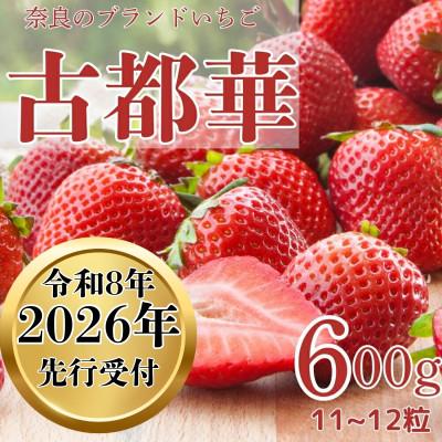 ふるさと納税 奈良市 [2026年1月〜順次発送]いちご 藤井農園特選大粒古都華600g×1P(数量限定)25-037