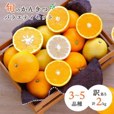 ふるさと納税 八幡浜市 愛媛県八幡浜産 旬のかんきつ詰め合わせバラエティセット 計2kg[訳あり][C25-293]