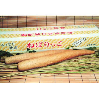 ふるさと納税 北栄町 [2026年お歳暮のし付 先行予約]ねばりっこ 秀3L×2本 2026年11月中旬頃より順次発送予定