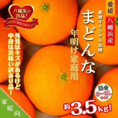 ふるさと納税 八幡浜市 年明け提供・家庭向き 限定400ケース ぷるぷる新食感「まどんな」約3.5キロ[C39-84]