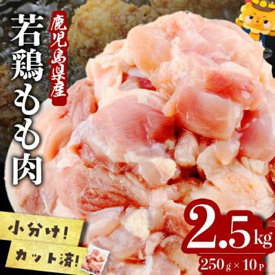 ふるさと納税 志布志市 鹿児島県産若鶏もも肉切身 計2.5kg(250g×10P)