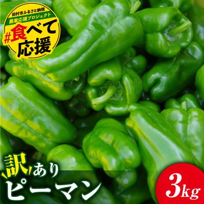 ふるさと納税 田村市 [2026年7月より順次発送予定]訳あり 規格外 ピーマン 3kg