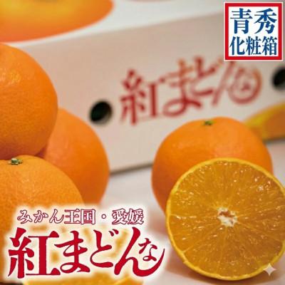 ふるさと納税 松山市 紅まどんな 青秀 化粧箱 L15玉〜5L7玉