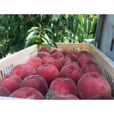 https://item-shopping.c.yimg.jp/i/n/y-furusato_1704725_3_d_20251226190344
